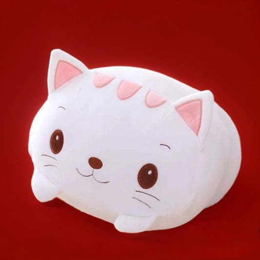 😺 Chat Blanc Câlin
